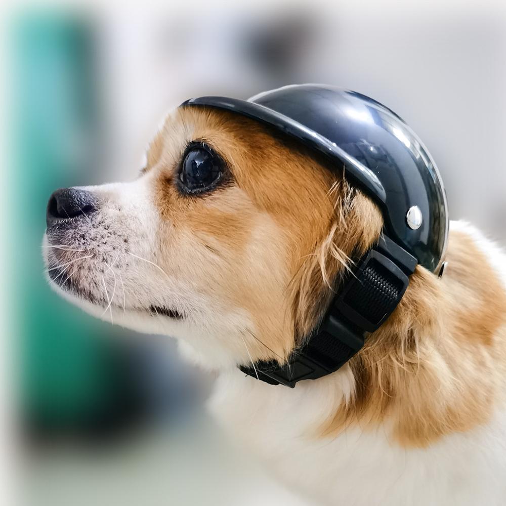Morsom kjæledyr hatt hund hjelm motorsykkel abs lokk til små mellomstore hunder katter fransk bulldog sommer tilbehør bursdagsfest kostymer