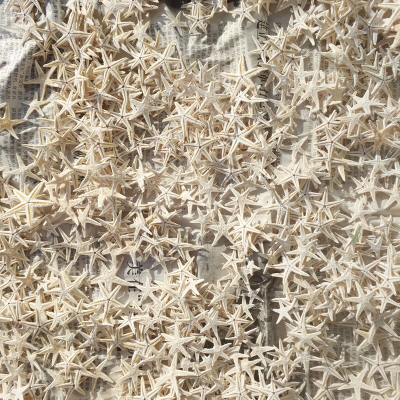 Mini estrella de mar blanca de 100-3cm, artesanía Natural de estrellas de mar, artesanal, artesanal, playa, cabaña, decoración de boda, novedad, 1,8 Uds.