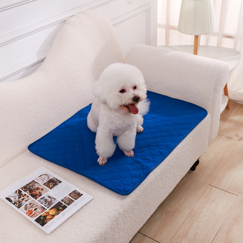 Manta absorbente reutilizable para perros, almohadilla lavable para entrenamiento de cachorros, cama para mascotas, alfombrilla para orina, funda para asiento de coche, suministros para mascotas: M / Naranja