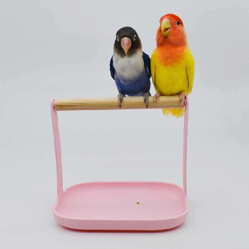 Bird Training Stand Portable Tabletop Parrot Natural Wood Perch for Small Medium Parakeet Finch Canary African Grey Q84D