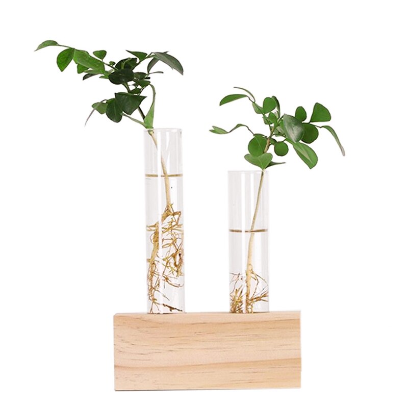 Kristallglas provrör vas blommor växter hydroponisk plantera+ träställ dekorerad med en blomma heminredning: Default Title