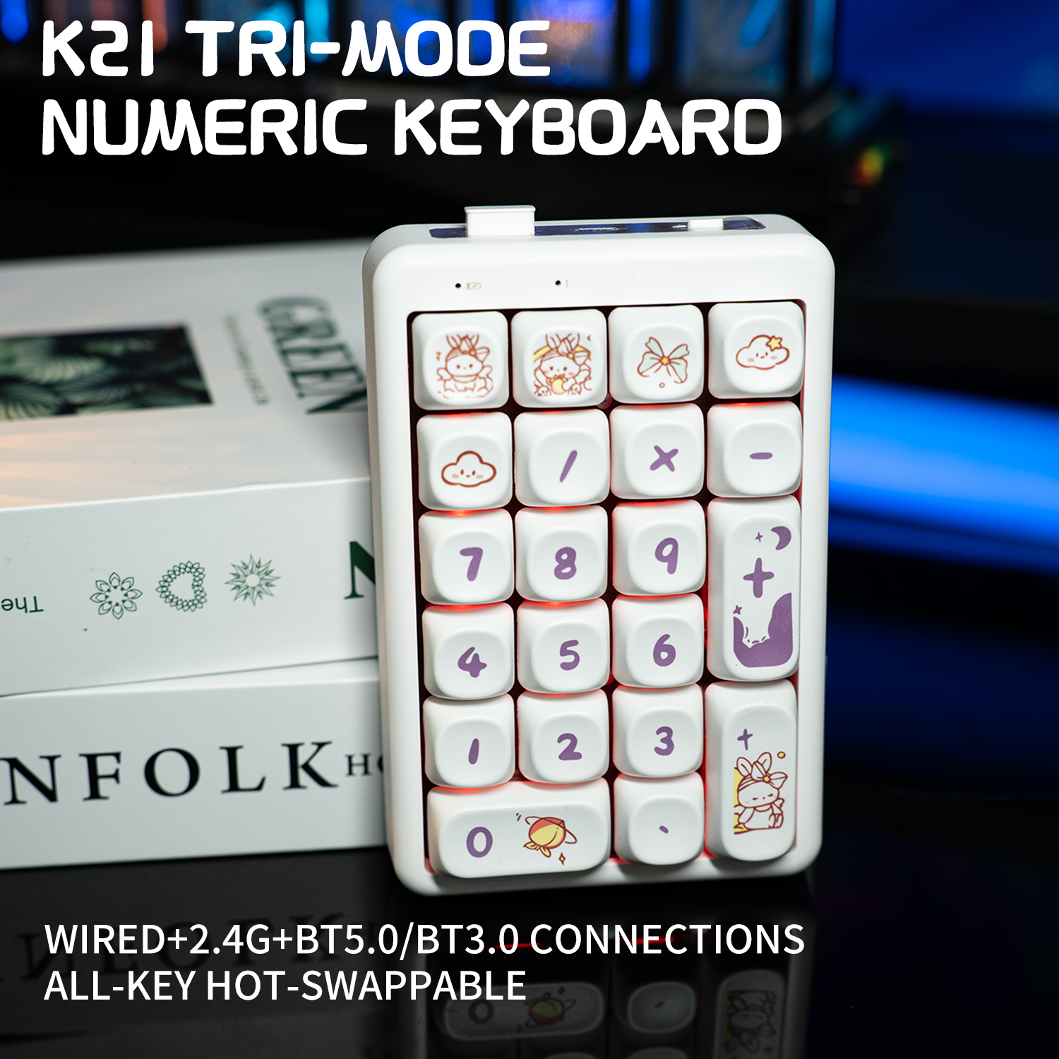 21-Key Wireless Mechanical Keyboard Number Pad Tri-Mode Cartoon Numeric Keypad with -Swappable Switches RGB Backlight