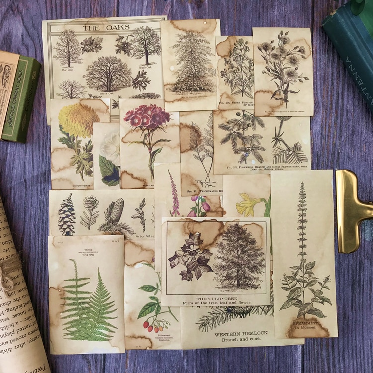 17 stk / pakke vintage planter illustration kaffe tør klistermærke diy scrapbooking album junk journal planner dekorative klistermærker