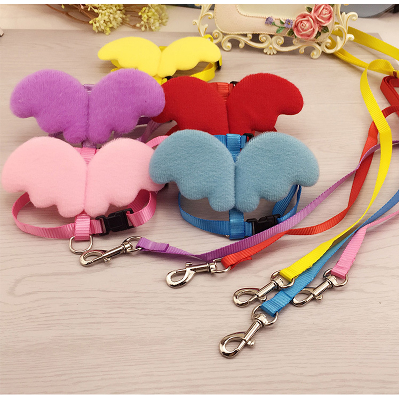 Laisse pour animaux de compagnie, petit ange, sangle de poitrine, ailes, ensemble de harnais pour chien, chat, lait, petit chien, corde pour Mini chien, chiot, fournitures