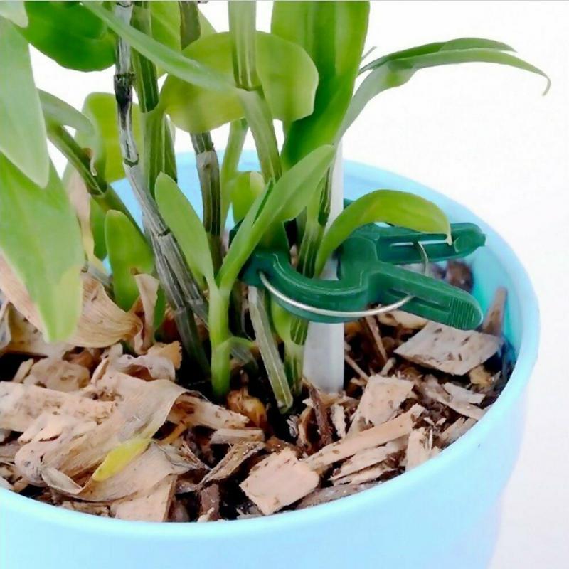 20 stk. genanvendelig planteklemme af fjedertype haveklemme understøtter haveværktøj til drivhusblomster til stængler og vinplanter