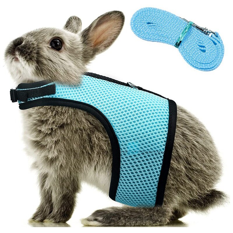 Kaninchengeschirr, weiches geschirr für kaninchen, netz-kaninchengeschirr, hamsterweste mit elastischer leine (l): Blau