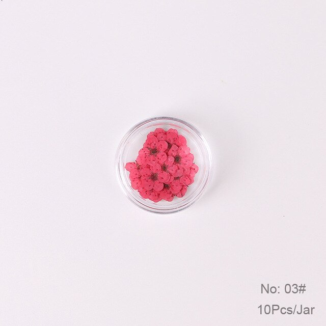10 st  /1 box äkta nagelblommor gör-det-själv naturliga torkade blommor naglar konst dekoration torr flowe manikyr tillbehör blomdekaler: 03