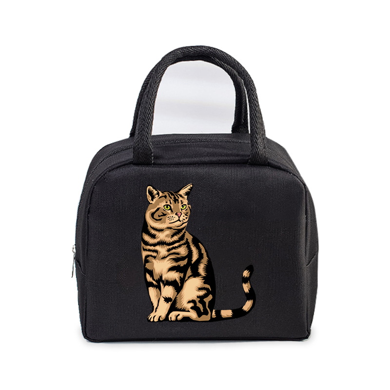 Lunch Bag for Women Men Insulated Portable 3D Cartoon Cats Multifunctional Bag Thermal Food Container School Kids Picnic Handbag: Beżowy