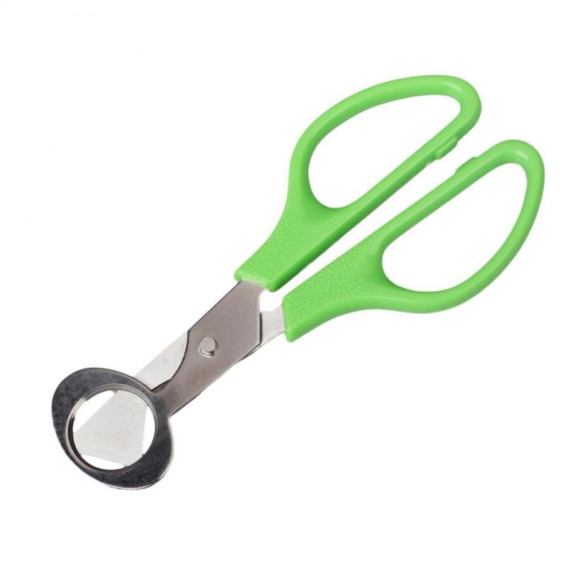 Ouvre-ciseaux pour œufs de caille, outil de ciseaux pour œufs de Pigeon, gadget de cuisine