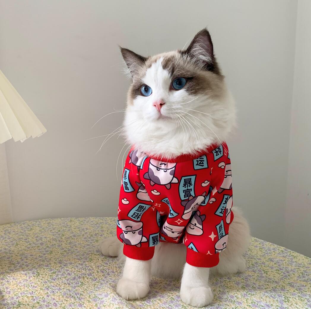 Ropa de primavera con estampado para gato, ropa para mascotas, Disfraces para gatos pequeños, chaqueta de abrigo suave para gatitos