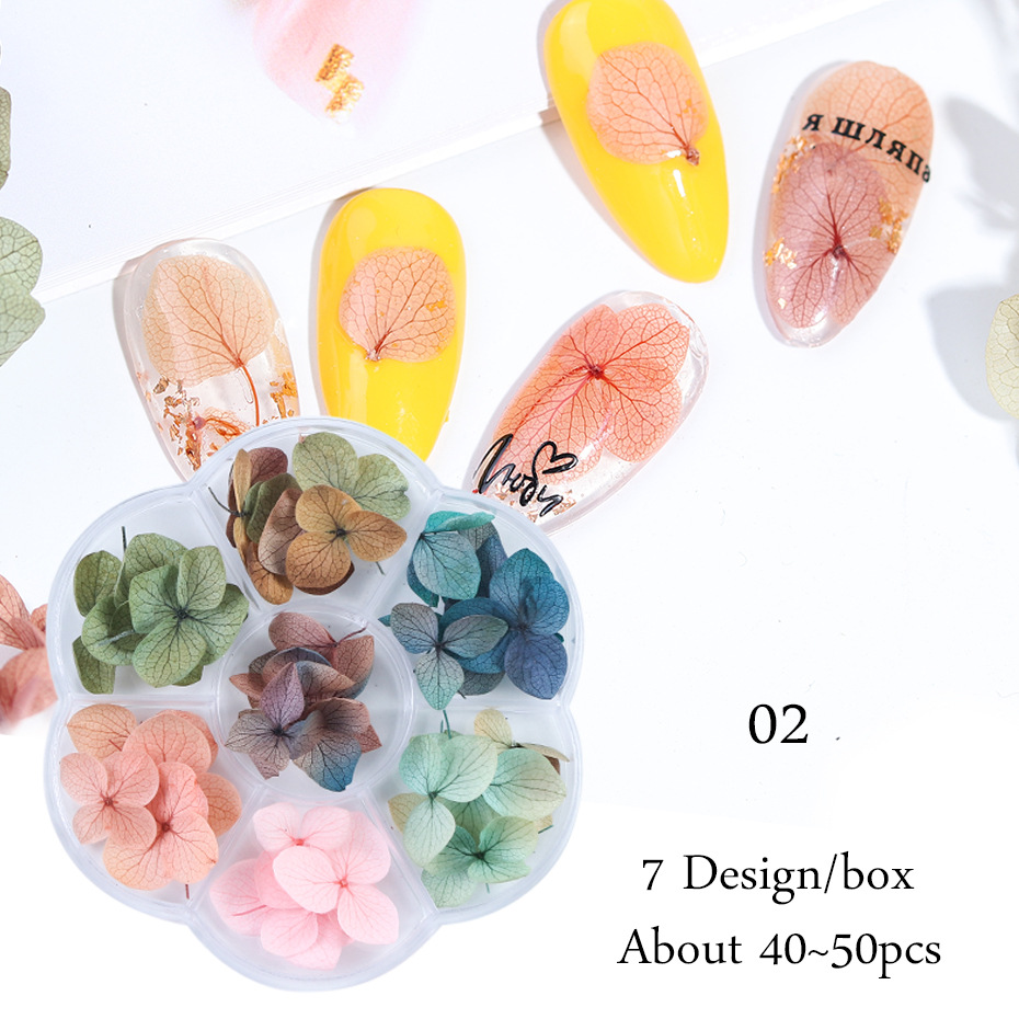 Décalcomanies de fleurs séchées 3D pour Nail Art, autocollants floraux naturels, conceptions de fleurs sèches pour N64.Crafts, accessoires de manucure bricolage: Mèche