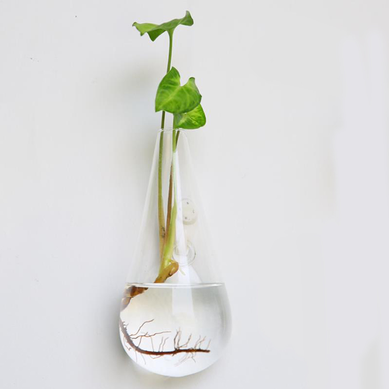 Maceta de cristal colgante creativa terrario florero decoración de la pared del jardín del hogar florero claro colgante tanque recipiente acuario decoración del hogar