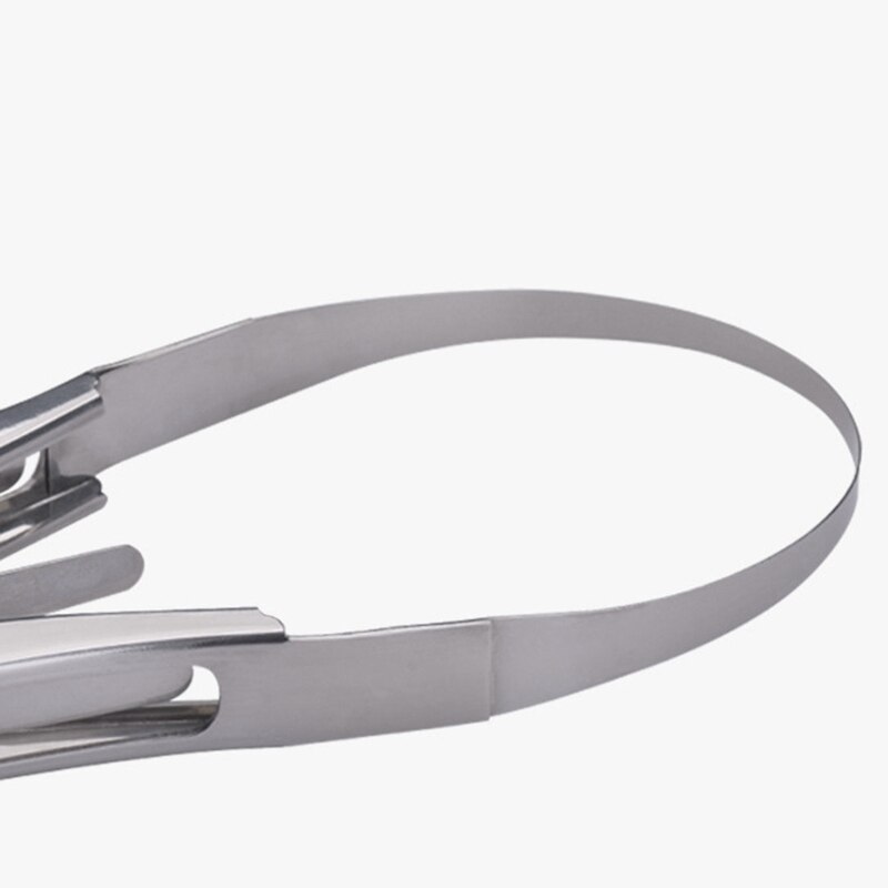 Stainless Steel Mango Watermelon Meat Extractor Fruit Slicing Pulp Separator Dragon Fruit Cutting Gourd