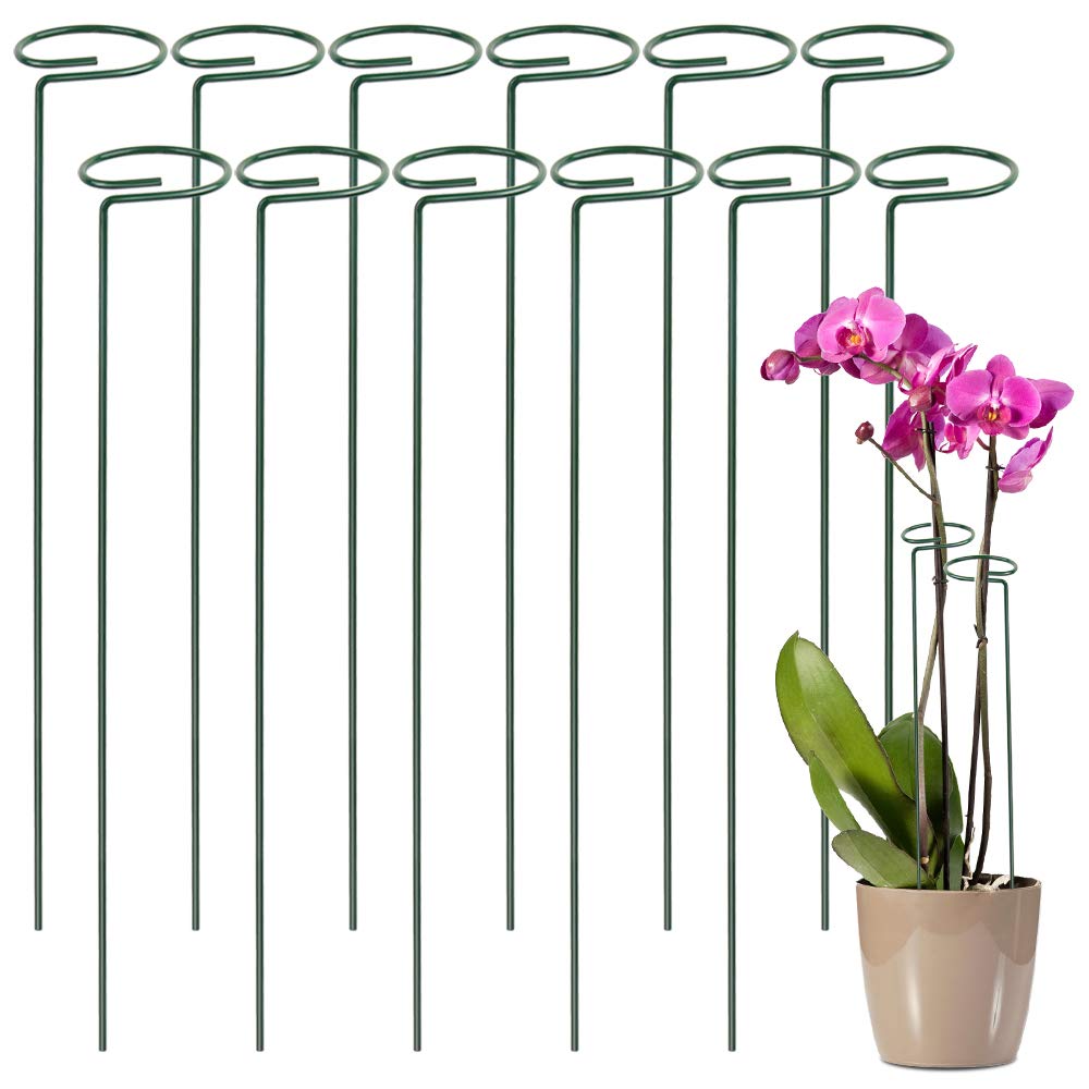 Plant Support Stakes For Flowers Metal Single Stem Plant Support Garden Plant Stakes For Amaryllis Orchid Lily Rose Tomatoes