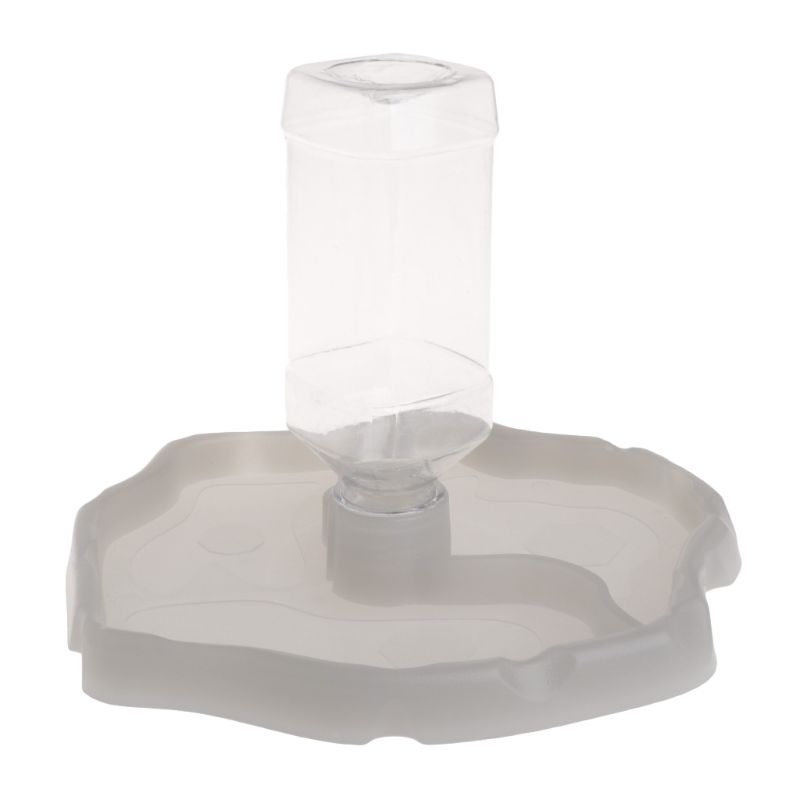 Reptile Feeder 2 in 1 Automatic Water Food Feeding Plate Lizard Turtle Dispenser Food water separative: Light Grey