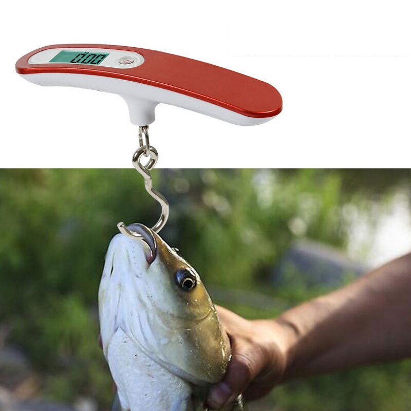 Balance Numérique NGT Pour Pêche – Capacité 50 Kg, écran LCD, Bras Pliables, Fonction Tare