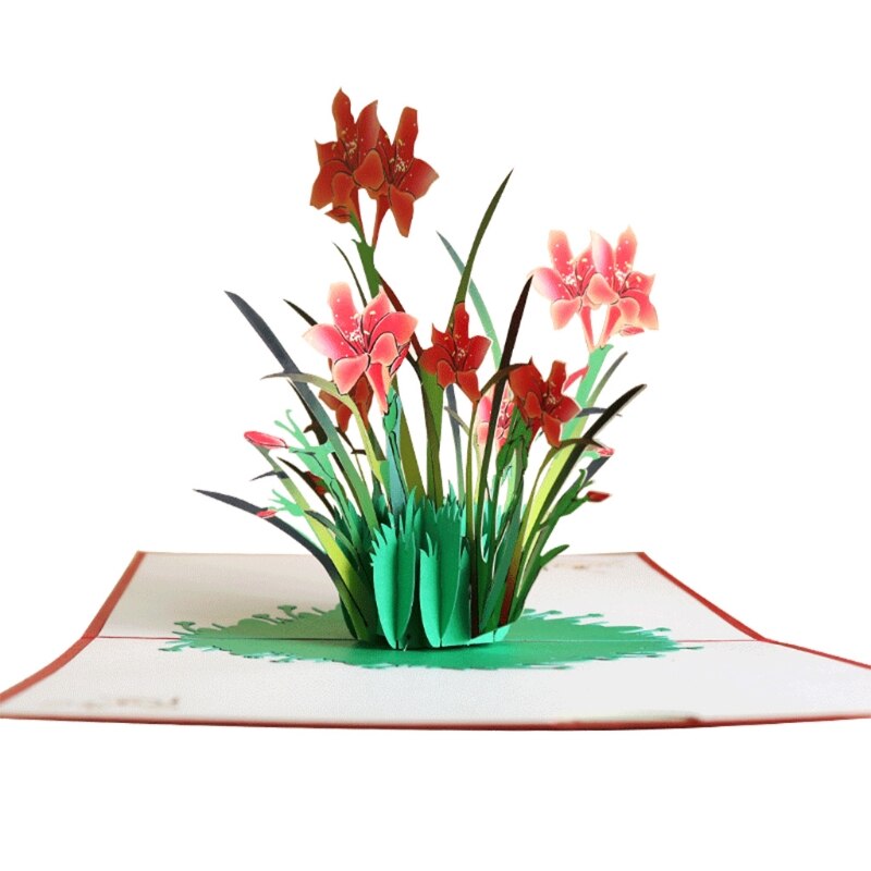 3D Pop-Up Flower Floral Greeting Card for Birthday Mothers Father's Day Graduation Wedding Anniversary with Envelope: 3
