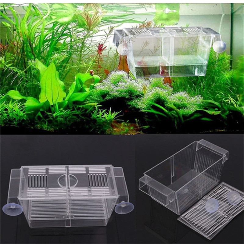 Fry breeding box guppies fish hatching box fish tank isolation box juvenile betta fish box small fish incubator