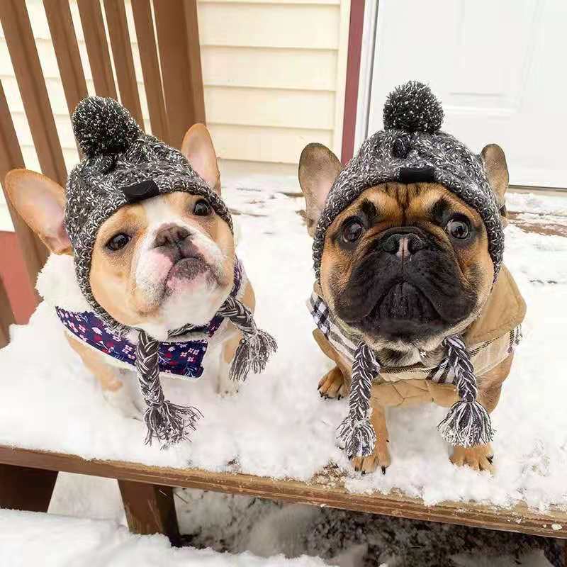 Gorras para perro Bulldog francés Pug, oso, gatito, cachorro, gorro de lana de punto, suministros para perro mascota, productos para invierno