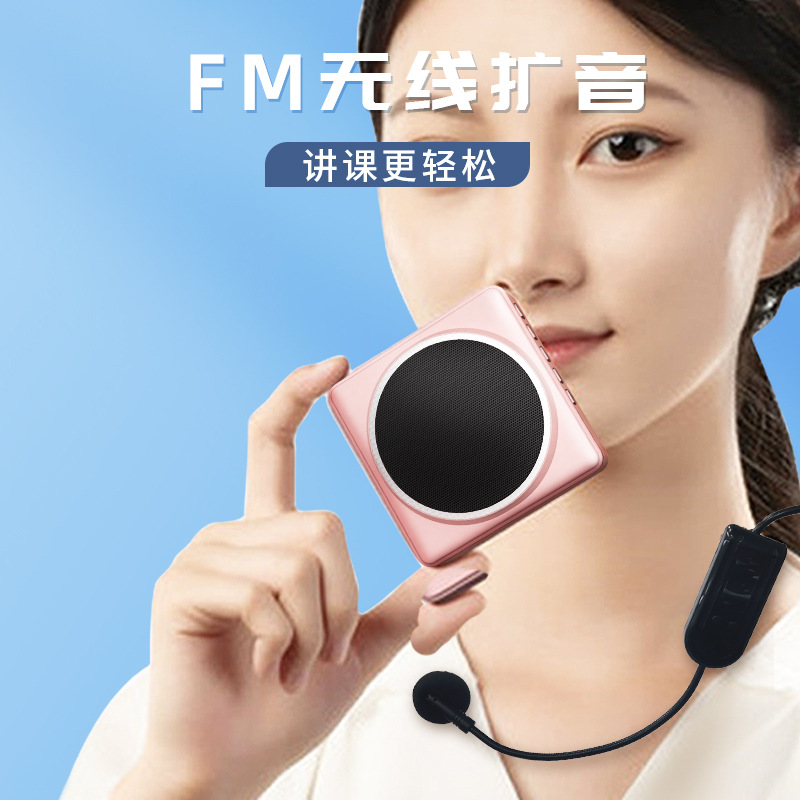 Wireless Speaker Portable Voice Amplifier with Microphone Headset Guide Microphone Teacher Bluetooth Speaker Support FM Radio