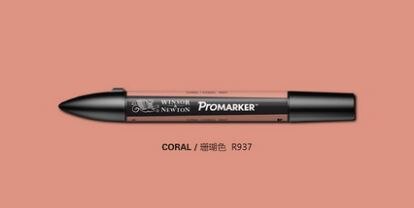 Długopisy graficzne Winsor & niuton Promarker bliźniak Wskazówka Kolory skóry: zielony