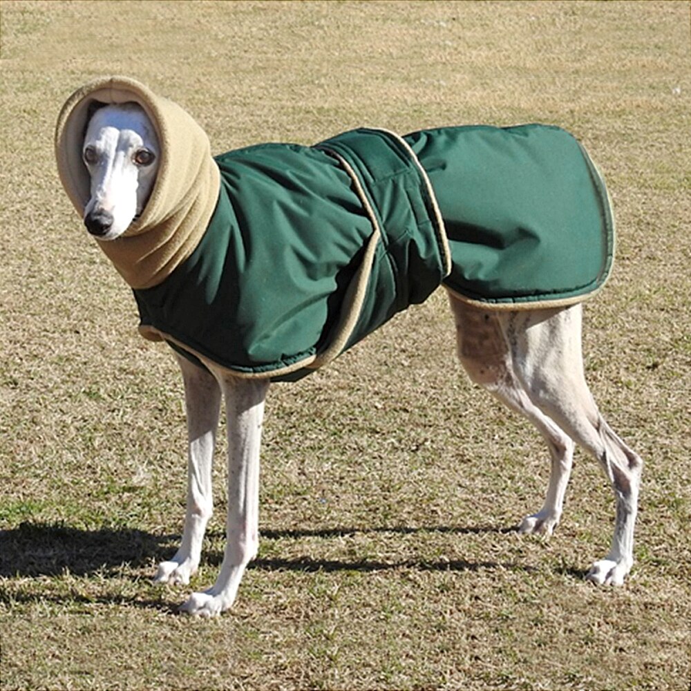 Chaqueta cálida impermeable para perros medianos y grandes, abrigo grueso de invierno para galgo, lobero irlandés y pastor alemán: Verde / 5 XL