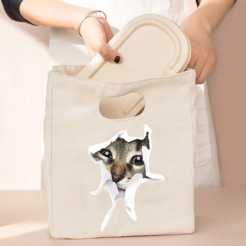 Gecontracteerde Stijl Geïsoleerde Lunch Tas, Duurzaam Bento Pouch, Thermische Lunch Box, Cooler Tassen, kat Print Lunch Container Bag: 5Cat003