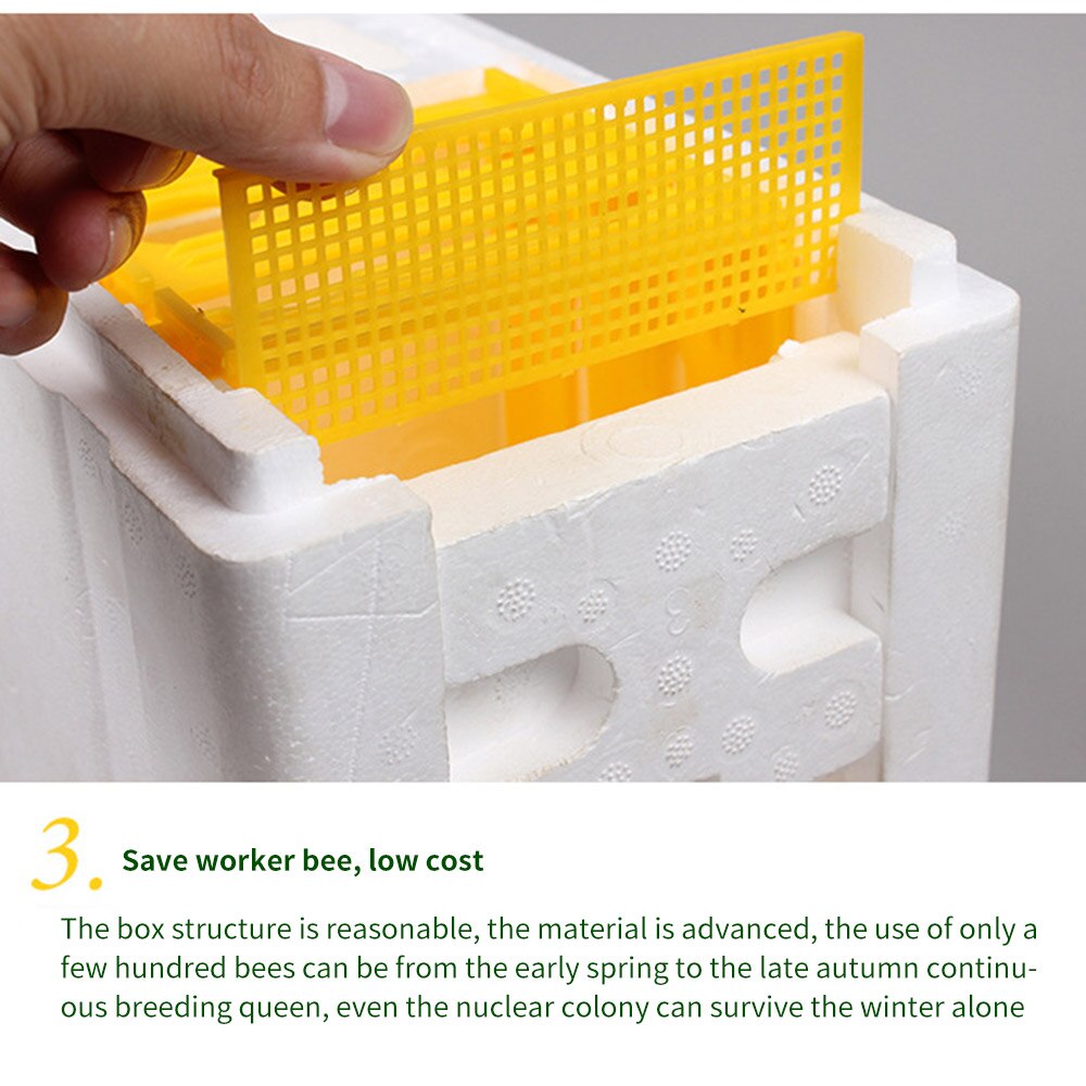 Bee Hive Beekeeping King Box Pollination Box Foam Frames Beekeeping Tool Kit Harvest Bee Hive Home Hive Case Beekeeper Tools