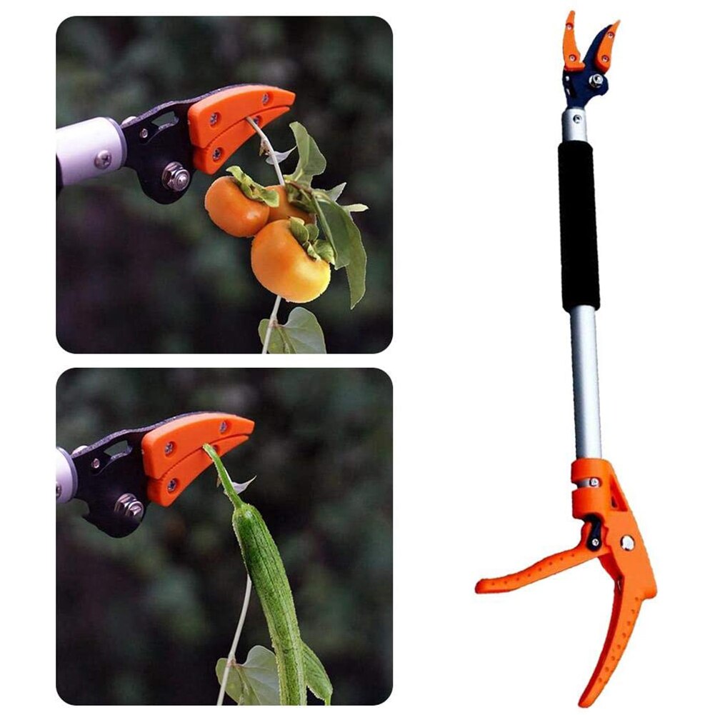 Fruit Picker Shear Long Pruning Gripper for Gardening Tree High Branch Cutter Garden Tools Basket Pole Stick