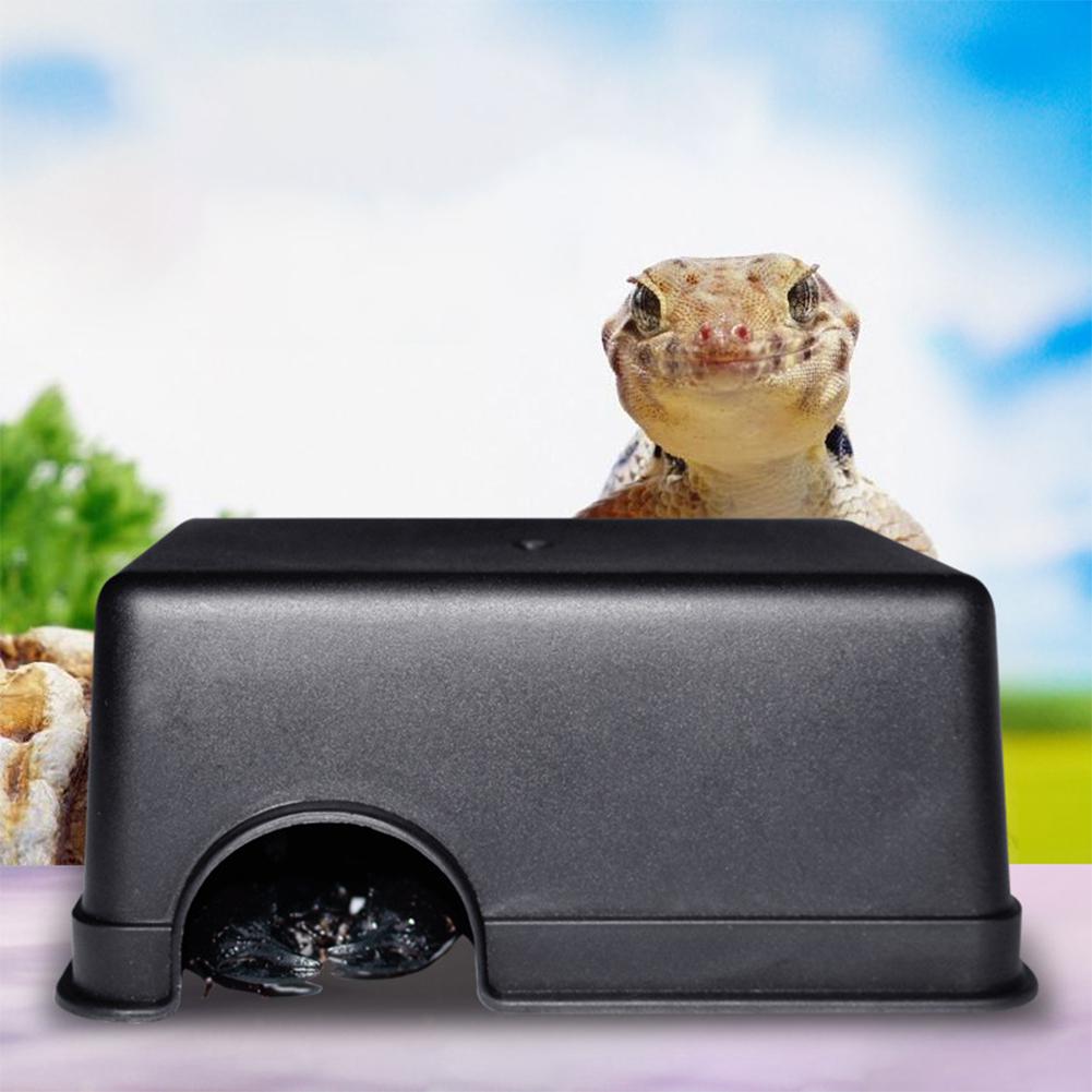 Petits Reptiles animaux de compagnie jouets Gecko serpent abri maison nourriture eau bol Cave escalade boîte