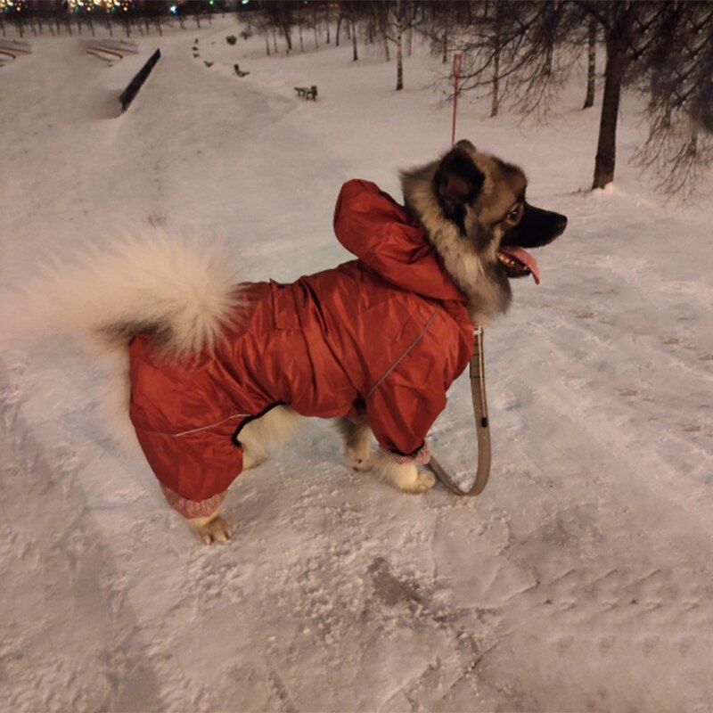 Impermeabile per cani di grossa taglia impermeabile abbigliamento per cani di grossa taglia cappotto con cappuccio giacca da pioggia riflettente poncho per cani di taglia media maglia traspirante
