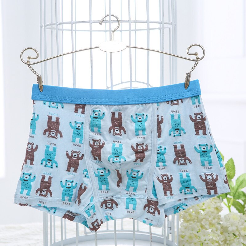5 Pieces/Lot Summer Children Underwear Modal Shorts Panties for Baby Boy Catoon Printed Teenager Underpants