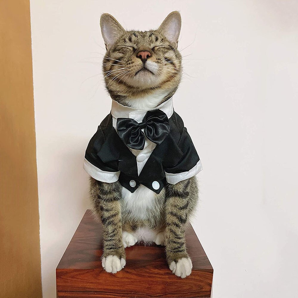 Costume de smoking pour chien, chemise formelle, veste de mariage noire, Costume pour animal de compagnie, chiot, Prince, Costume de cérémonie avec nœud papillon, petit chien, chat