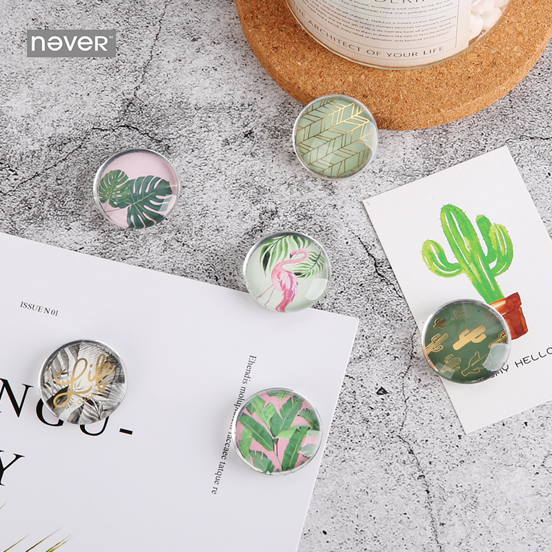 Imanes de cristal de la serie NEVER Plant, imanes, tachuelas para el pulgar, soporte de mensajes para pizarra blanca, de artículos de oficina, papelería, tienda