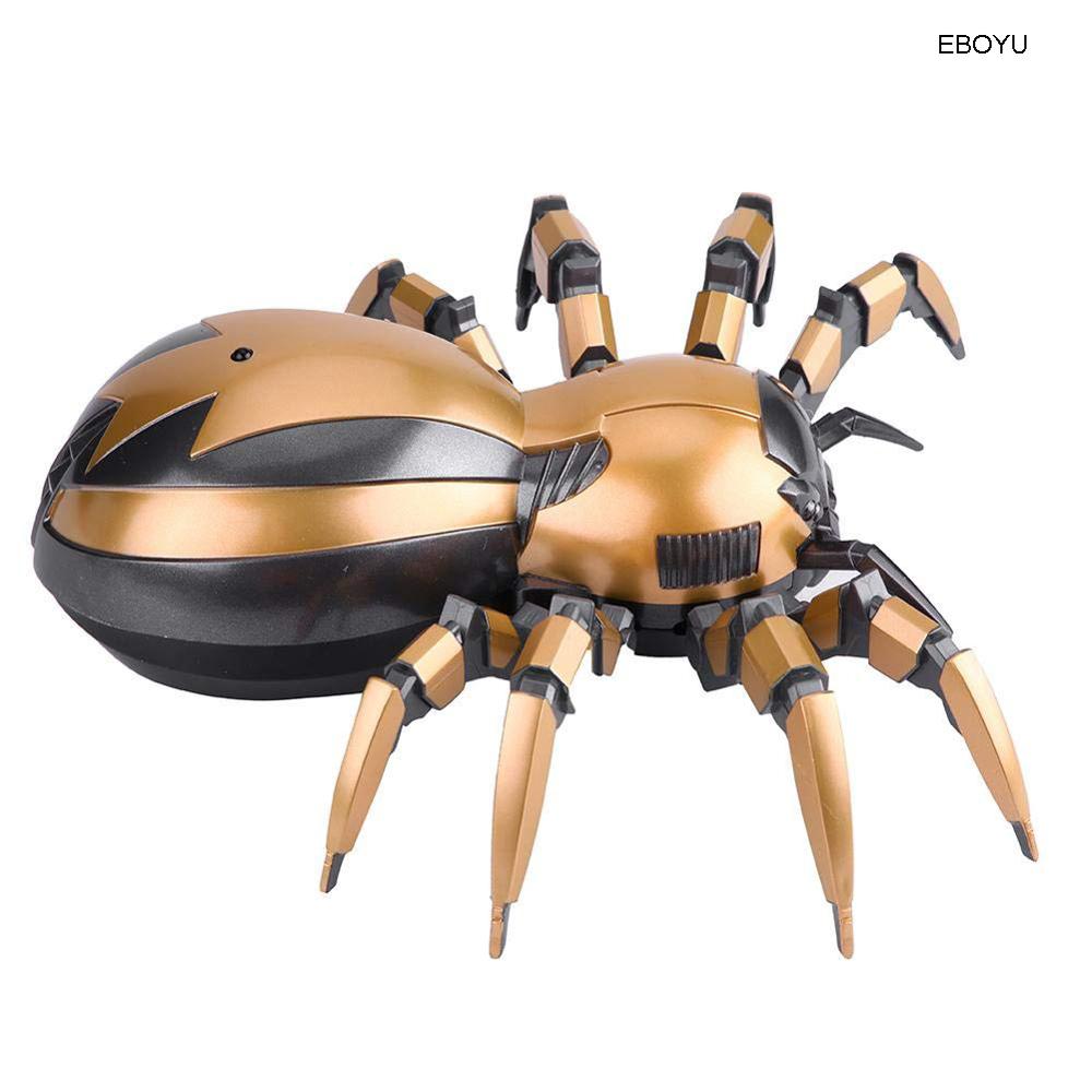 1.0 Lasiocyano sazimai ex. Pterinopelma sazimai – Arachno-World, image size:1000x1000