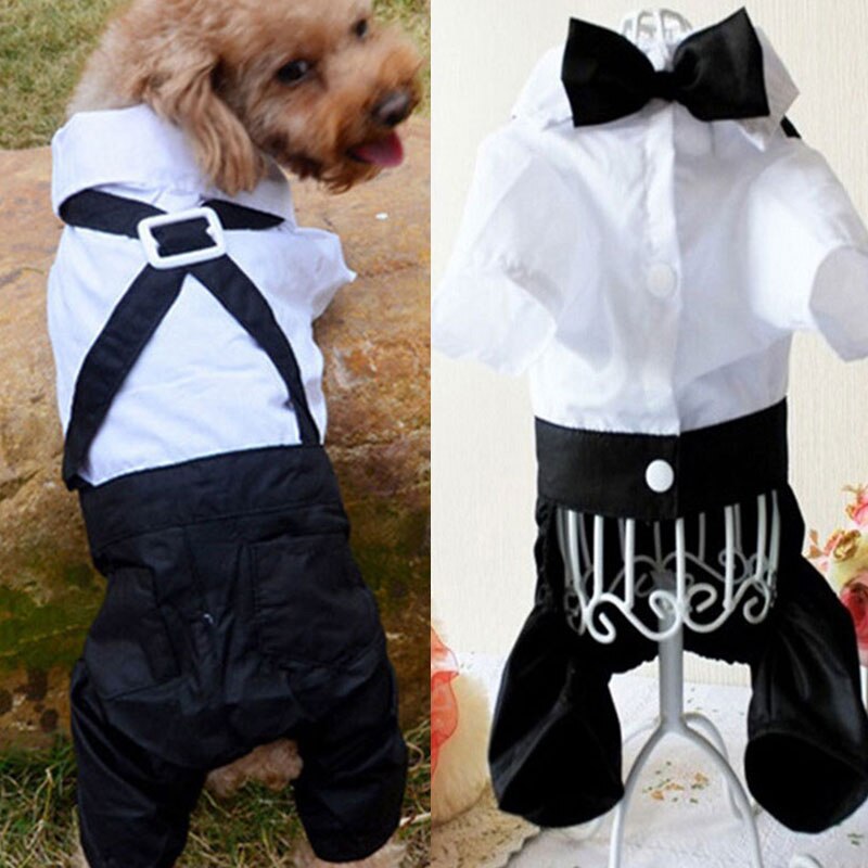 Ropa de caballero para perro, traje de boda, camisa Formal para perros pequeños, esmoquin con pajarita, traje para mascotas, disfraz de Halloween y Navidad para gatos