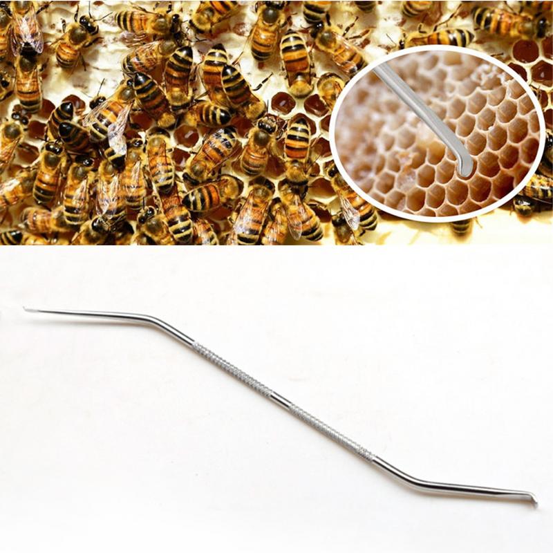 Rvs Bee Naald Imker Bijenkorf Koningin Larve Grootbrengen Voeden Apparatuur Plastic Bijenteelt Moving Enten Gereedschap