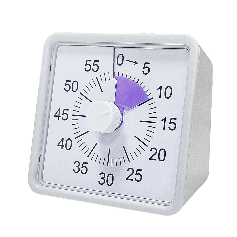 Silent Cooking Countdown Timer for Children and Adults, Visual Time Manager, Learning Exercise Timer, 60 Minutes: GRAY
