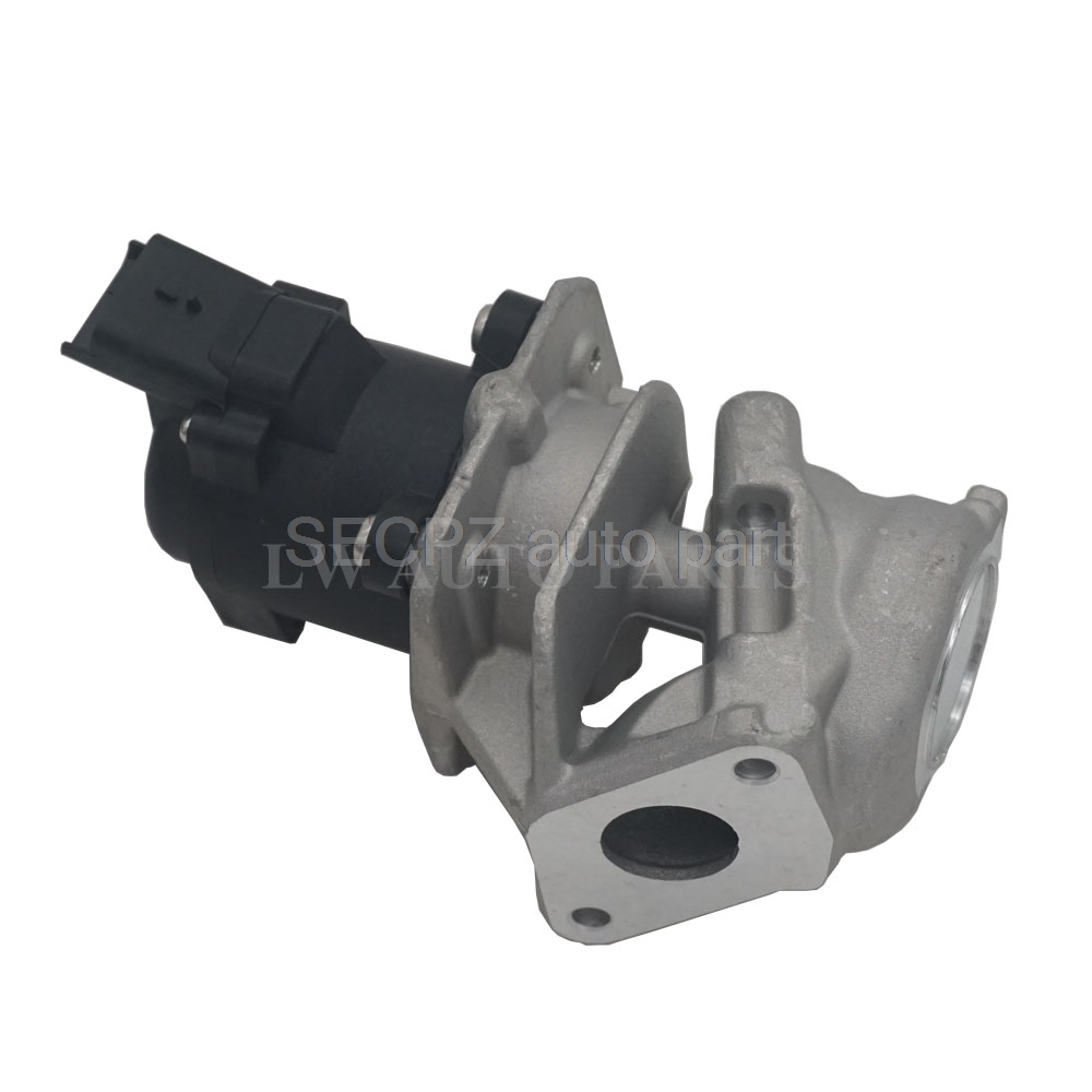 9685640480 1618NR 1338675 Egr Klep Case Voor Peugeot 1007 206 207 307 1.6 Hdi Diesel Voor 1618.NR 161859 6NU010171-1011