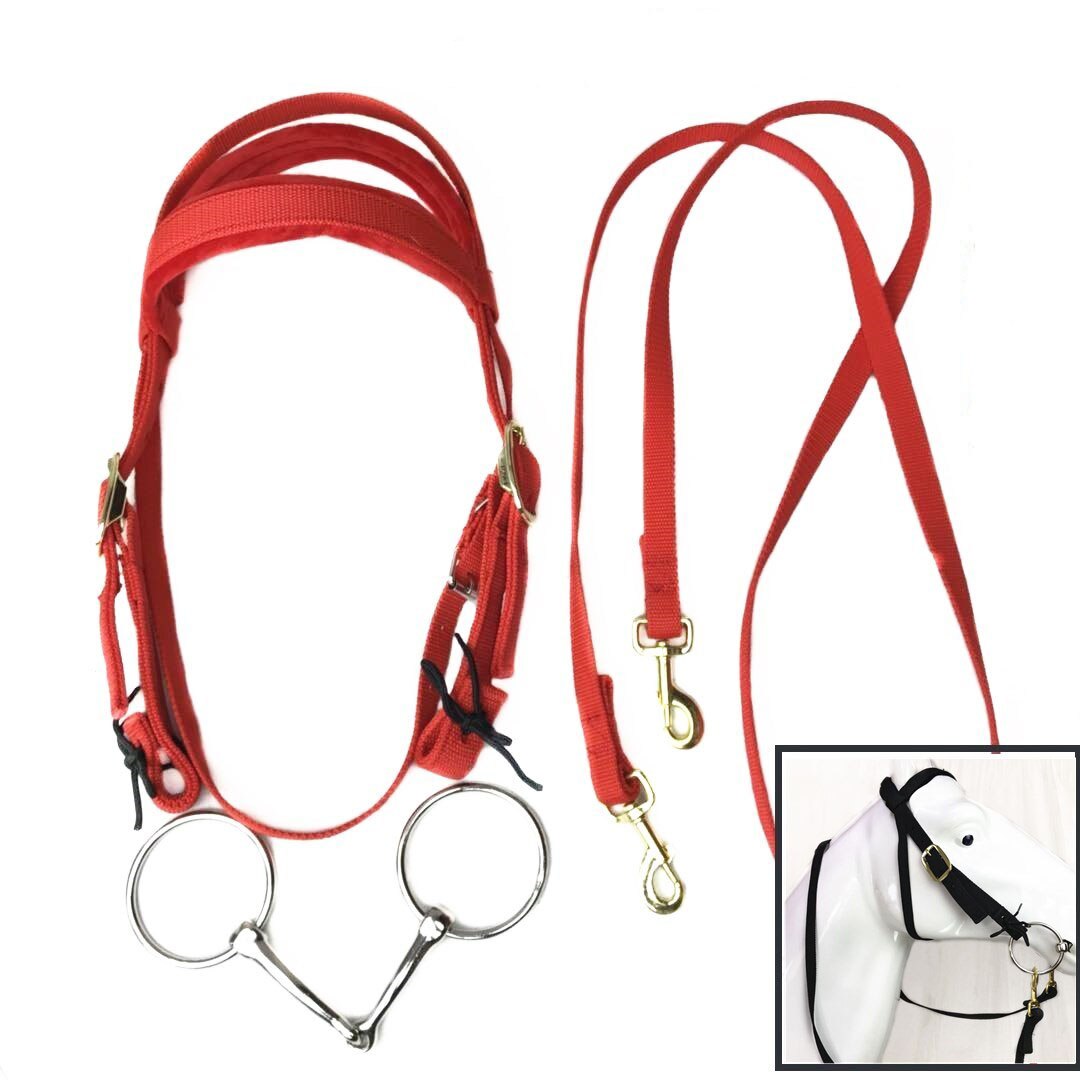 SUPPORT DE FLÈCHE Plastron Chasse Cible Carquois Séparateur 12 Flèches