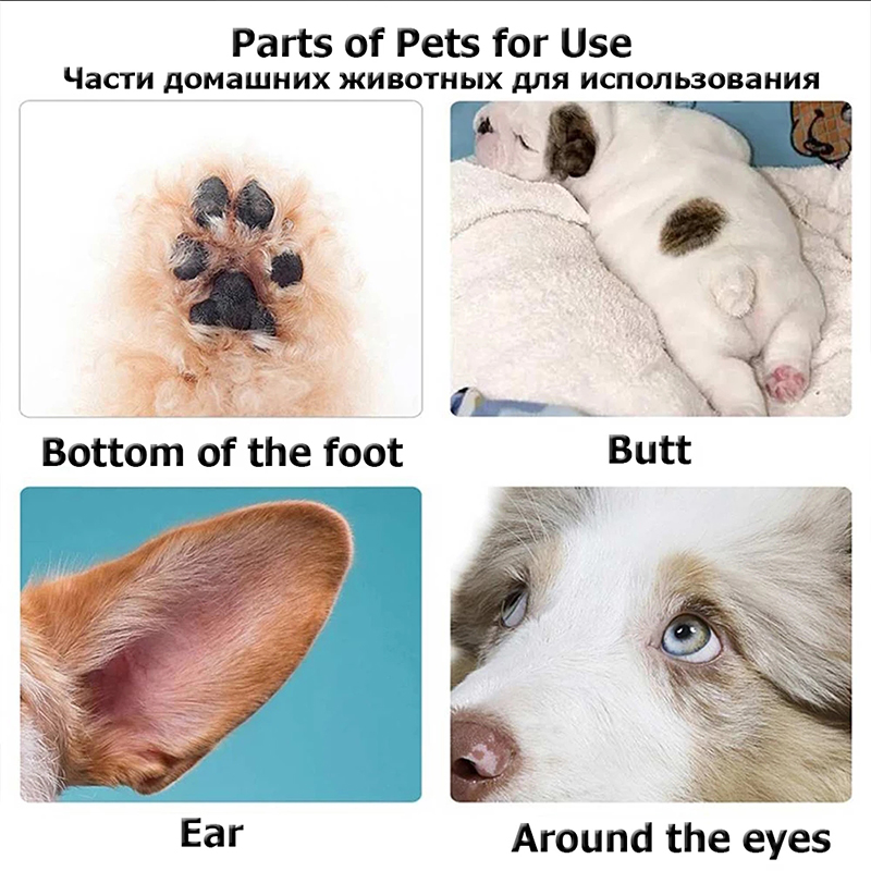 Tondeuse professionnelle pour pattes, oreilles, yeux et anus du chien,machine silencieuse et rechargeable par port USB pour une coupe et un toilettage des animaux de compagnie réussis