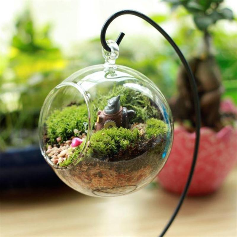 Klart glas kugle vase mikro landskab luft plante terrarium saftige hængende blomsterpotte beholder: Glaskugle