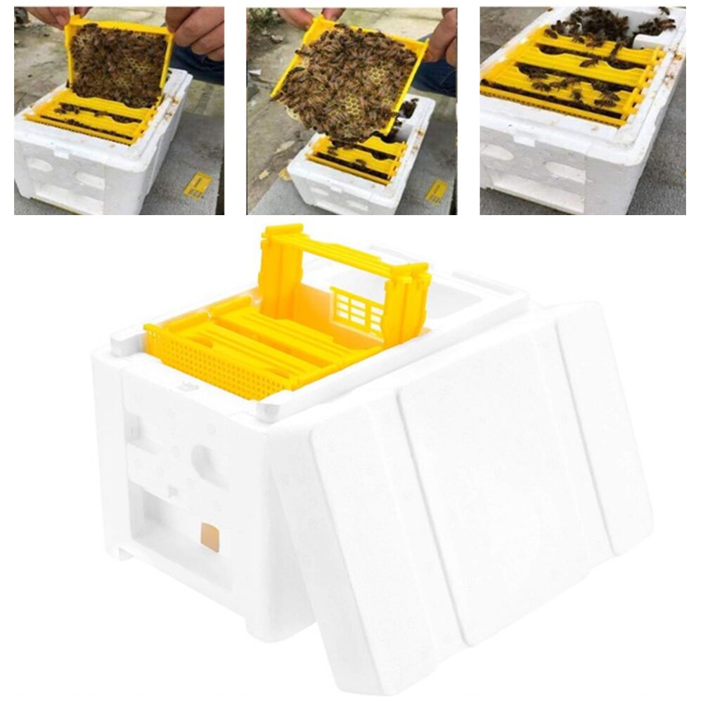 1pc 3 typer av bidrottning parning parning bubbelbox biodling skörd bikupa pollinering avel uppfödning bikupa reservverktyg