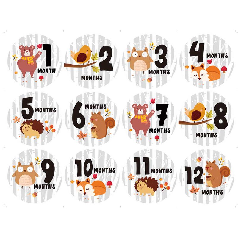 Baby Maandelijkse Stickers,Baby Eerste Jaar Maand Leeftijd Groei Mijlpalen Dier Stickers Unisex,1 Tot 12 Maand