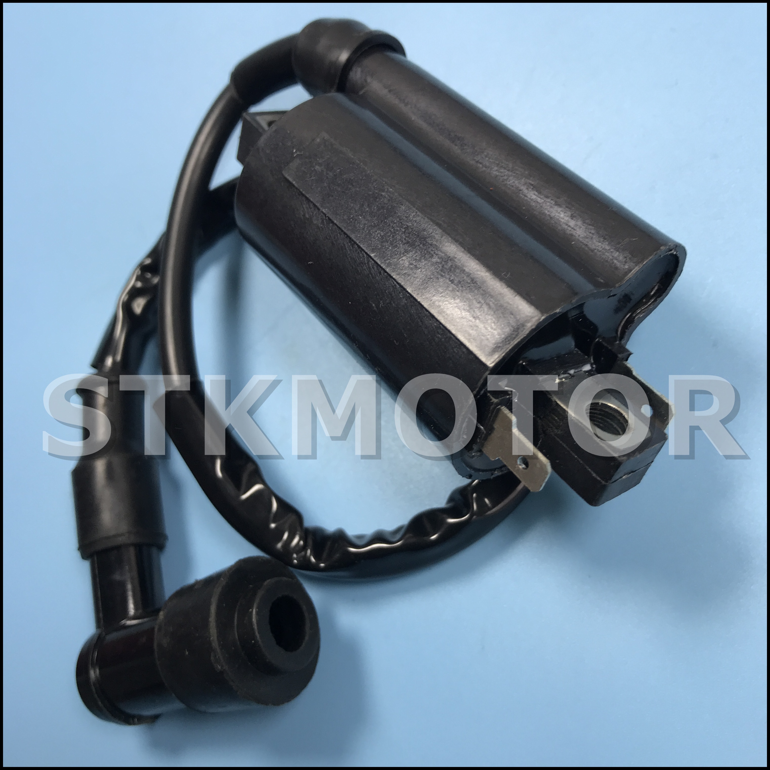 High Performance Motorcycle Ignition Coil for Buyang Feishen Linhai 260 260cc 300cc D300 G300 ATV Parts