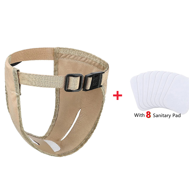 Female Dog Estrusing Nappies with 8 Sanitary Pad For in Bleeding Physiological Washable Nappies Anti Male Dogs Harass Pants: M / GRAY