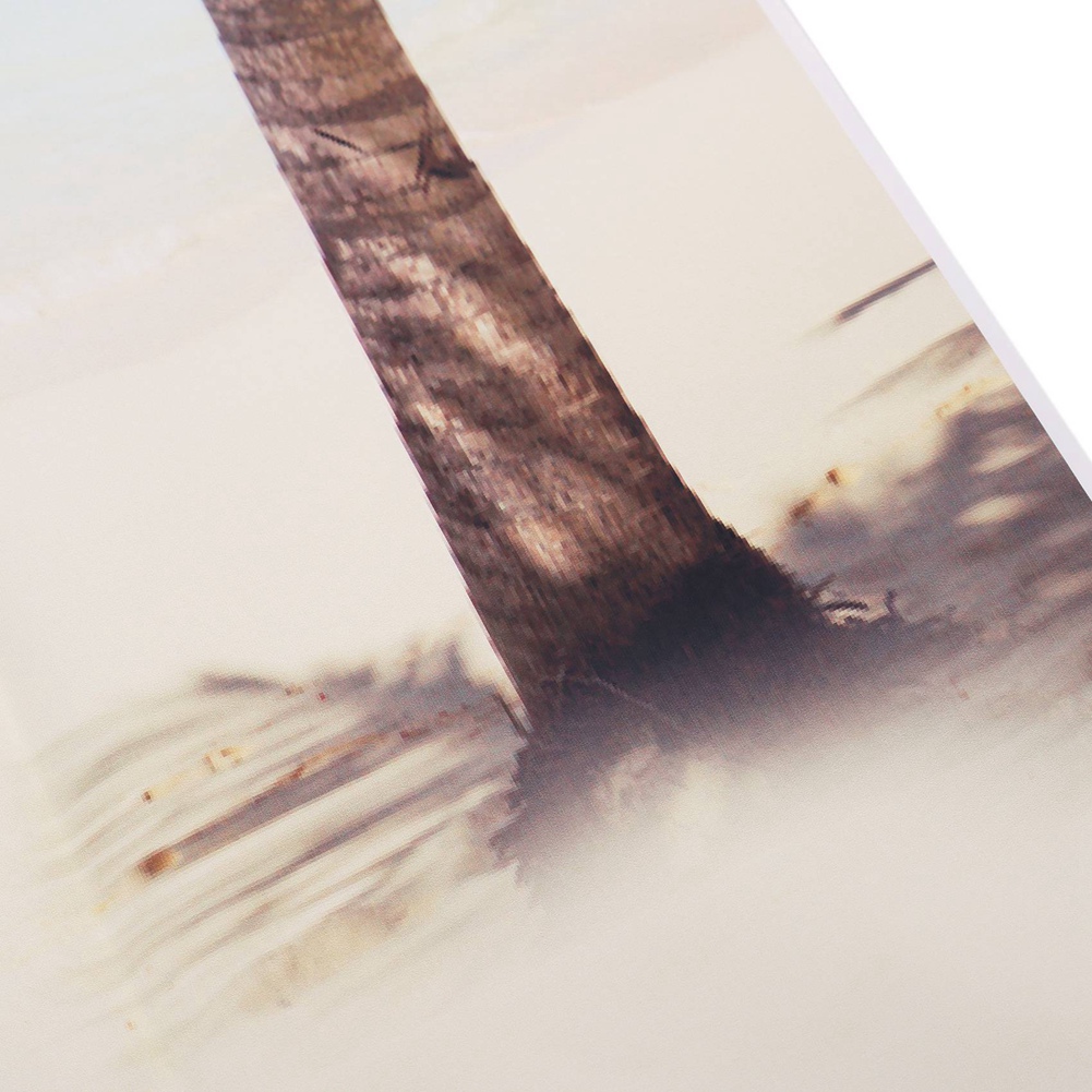 B50B-2Pcs 3x5ft verão beira-mar praia fotografia fundo vinil estúdio pano de fundo adereços: Default Title