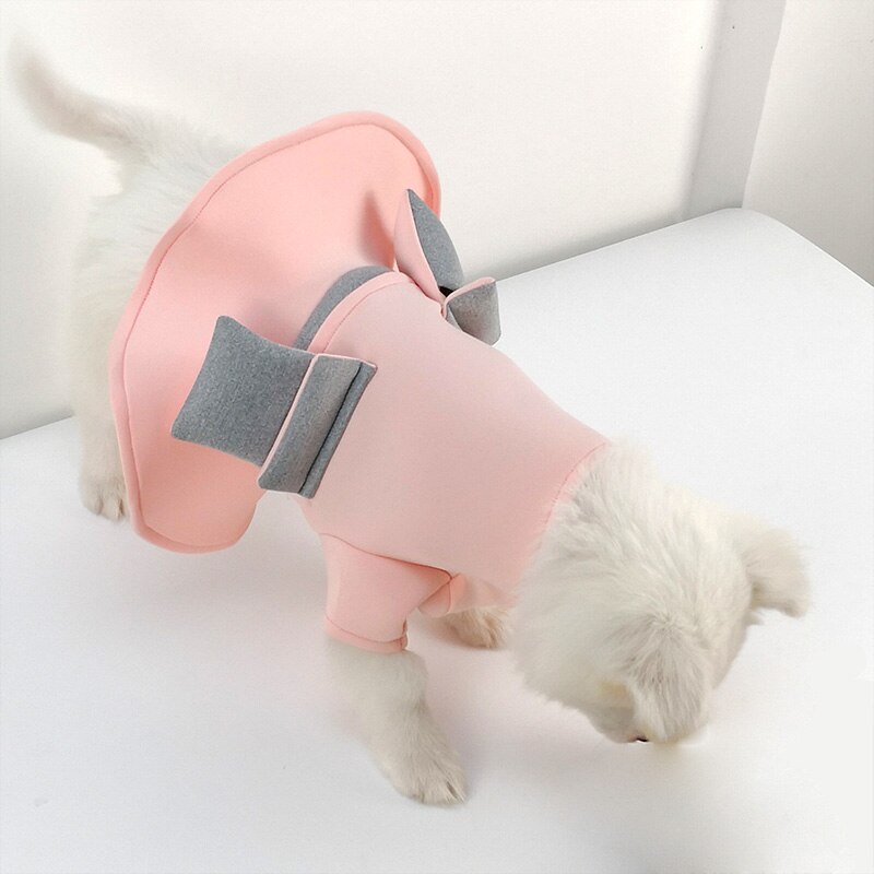 Zomer Kleine Hond Trouwjurk Rok Huisdier Kleding Prinses Jurk voor Chihuahua Yorkie Lente Kat Kleding voor Meisjes