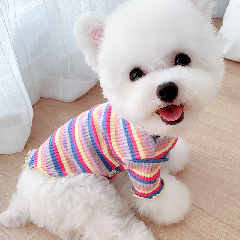 Regenboog hondenkleding katoenen huisdieren hondenkleding puppy chihuahua huisdier vest shirt zacht hondenkostuum ropa perro huisdierproducten hondenshirt
