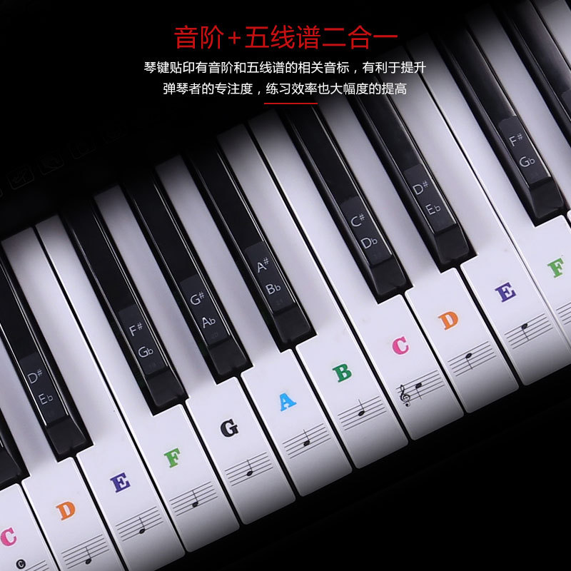 transparent Klavier Tastatur Aufkleber 49/54/61/88 Schlüssel Elektronische Tastatur Klavier Aufkleber Schlüssel Klavier stechen Hinweis Aufkleber für Weißen Tasten
